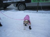 12th Annual - Feb 5, 2011 12th annual feb 5 2011 180