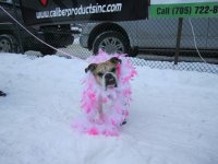 12th Annual - Feb 5, 2011 12th annual feb 5 2011 181