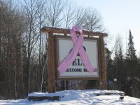 8th annual 2007 breast cancer snow run photo gallery 73