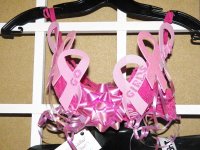 14th Annual Kelly Shires Breast Cancer Snow Run/Kelly's Winter Games 2013 14th annual kelly shires 13