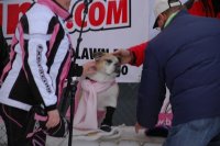 12th Annual - Feb 5, 2011 12th annual feb 5 2011 96