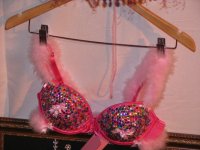 8th annual 2007 breast cancer snow run photo gallery 55