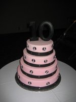 10th Anniversary KSBCSR Feb 7, 2009 breast cancer snow run 2009 307