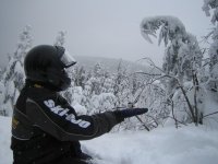 7th Annual 2006 nataliebirds