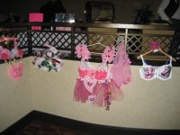 10th Anniversary KSBCSR Feb 7, 2009 breast cancer snow run 2009 215