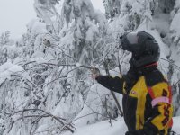 7th Annual 2006 mj birds2