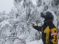 7th Annual 2006 mj birds