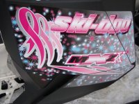 10th Anniversary KSBCSR Feb 7, 2009 breast cancer snow run 2009 348