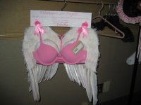 11th Annual February 6, 2010 11th snow run breast cancer 41