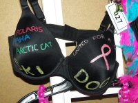 14th Annual Kelly Shires Breast Cancer Snow Run/Kelly's Winter Games 2013 14th annual kelly shires 10