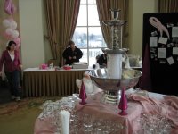 10th Anniversary KSBCSR Feb 7, 2009 breast cancer snow run 2009 131