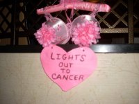 10th Anniversary KSBCSR Feb 7, 2009 breast cancer snow run 2009 107