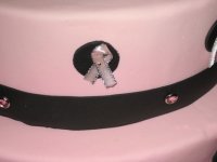 10th Anniversary KSBCSR Feb 7, 2009 breast cancer snow run 2009 308