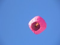 13th Annual - Feb 4, 2012 Hidden Valley Resort 13th annual breast cancer snow run 310