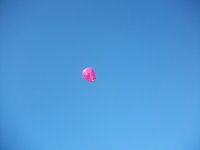 13th Annual - Feb 4, 2012 Hidden Valley Resort 13th annual breast cancer snow run 30