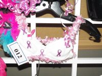 14th Annual Kelly Shires Breast Cancer Snow Run/Kelly's Winter Games 2013 14th annual kelly shires 8