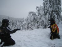 7th Annual 2006 feeding birds