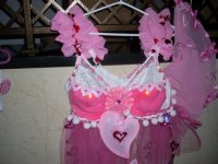 10th Anniversary KSBCSR Feb 7, 2009 breast cancer snow run 2009 109