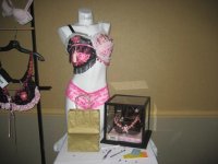 11th Annual February 6, 2010 11th snow run breast cancer 37