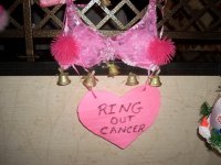 10th Anniversary KSBCSR Feb 7, 2009 breast cancer snow run 2009 111