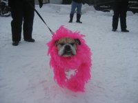 11th Annual February 6, 2010 11th snow run breast cancer 143