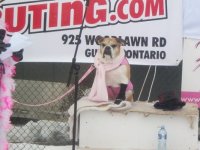 12th Annual - Feb 5, 2011 12th annual feb 5 2011 6