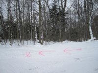 12th Annual - Feb 5, 2011 12th annual feb 5 2011 204