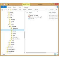 File Structure