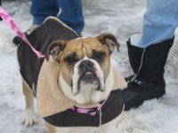 7th Annual 2006 img 0617