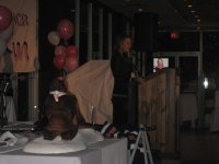 11th Annual February 6, 2010 11th snow run breast cancer 188