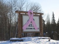 8th annual 2007 breast cancer snow run photo gallery 85