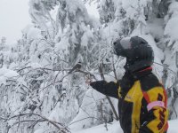 7th Annual 2006 mj birds3