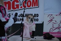 12th Annual - Feb 5, 2011 12th annual feb 5 2011 97