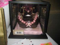 11th Annual February 6, 2010 11th snow run breast cancer 53