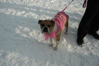 8th annual 2007 breast cancer snow run photo gallery 108