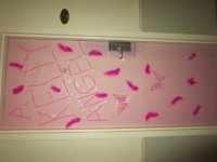 15th Anniversary Kelly Shires Breast Cancer Snow Run 15th annual ks snow run 5