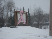 9th Annual 2008 2008 snow run annual 40