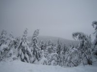 7th Annual 2006 mountain noir