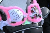 8th annual 2007 breast cancer snow run photo gallery 101