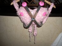 10th Anniversary KSBCSR Feb 7, 2009 breast cancer snow run 2009 106