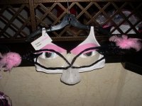 10th Anniversary KSBCSR Feb 7, 2009 breast cancer snow run 2009 112