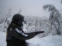 7th Annual 2006 nataliebirds2