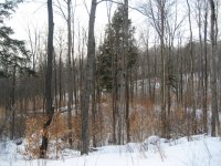 9th Annual 2008 2008 snow run annual 7