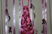 13th Annual - Feb 4, 2012 Hidden Valley Resort 13th annual breast cancer snow run 72