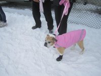 12th Annual - Feb 5, 2011 12th annual feb 5 2011 188